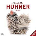 Verrückte Hühner Kalender 2024 - 30x30