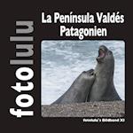 La Península Valdés Patagonien