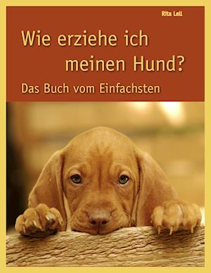 Wie Erziehe Ich Meinen Hund