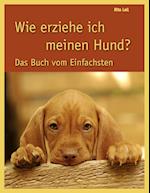 Wie Erziehe Ich Meinen Hund