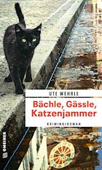 Bächle, Gässle, Katzenjammer