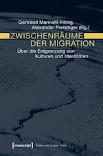 Zwischenräume der Migration