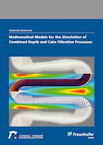 Mathematical models for the simulation of combined depth and cake filtration processes.