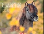 Islandpferde Kalender 2025