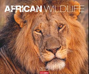 African Wildlife Kalender 2025