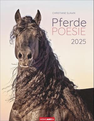 Pferdepoesie Kalender 2025