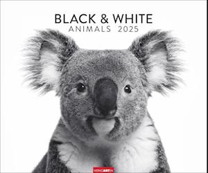 Black & White Animals 2025
