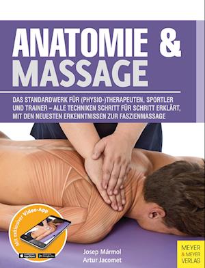 Anatomie & Massage
