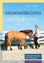 Grundausbildung von Gangpferden