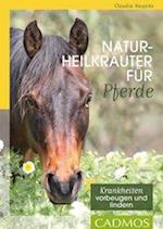 Naturheilkräuter für Pferde