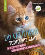 Ein Katzenkind kommt ins Haus