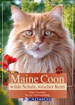 Maine Coon - Wilde Schale weicher Kern