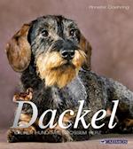 Dackel