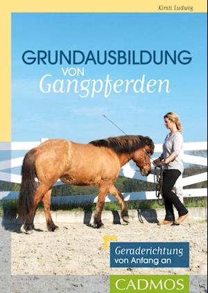 Grundausbildung von Gangpferden