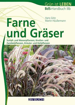 Farne und Gräser