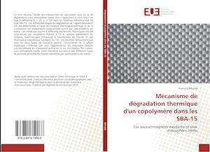 Mécanisme de dégradation thermique d'un copolymère dans les SBA-15