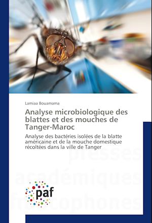 Analyse microbiologique des blattes et des mouches de Tanger-Maroc