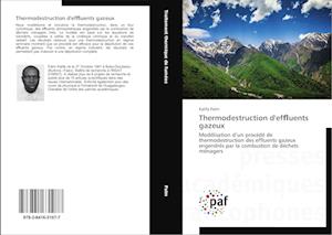 Thermodestruction d'ef¿uents gazeux