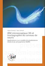 IRM microscopique 3D et tractographie du cerveau de souris