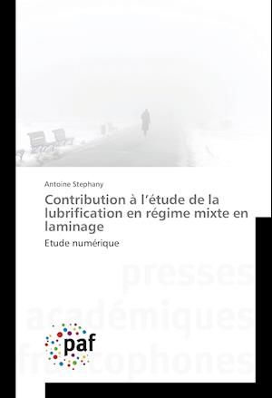 Contribution à l'étude de la lubrification en régime mixte en laminage