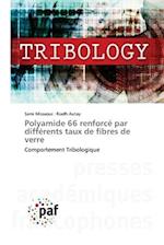 Polyamide 66 renforcé par différents taux de fibres de verre