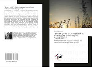 "Smart grids" : Les réseaux et compteurs d'électricité "intelligents"