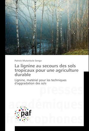 La lignine au secours des sols tropicaux pour une agriculture durable