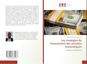 Les stratégies de financement des activités économiques