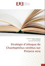 Strategie D'Attaque de Chaetoptelius Vestitus Sur Pistacia Vera