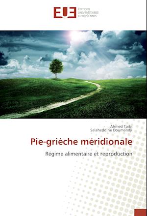 Pie-grièche méridionale