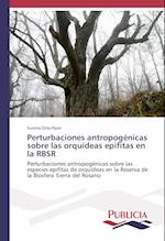 Perturbaciones antropogénicas sobre las orquideas epífitas en la RBSR