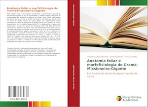 Anatomia foliar e morfofisiologia de Grama-Missioneira-Gigante