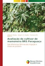 Avaliacao Da Cultivar de Mamoneira Brs Paraguacu