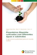 Pimenteiras Biquinho cultivadas com diferentes águas e substratos