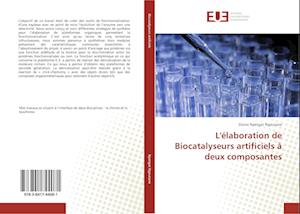 L'élaboration de Biocatalyseurs artificiels à deux composantes