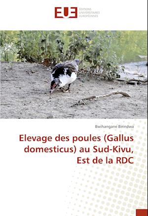 Elevage des poules (Gallus domesticus) au Sud-Kivu, Est de la RDC