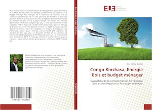 Congo Kinshasa, Energie Bois et budget ménager