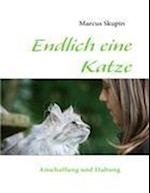 Endlich Eine Katze