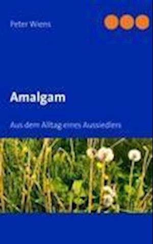 Amalgam