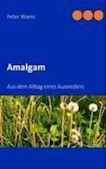 Amalgam