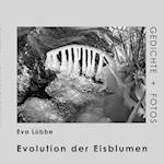 Evolution der Eisblumen