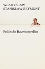 Polnische Bauernnovellen