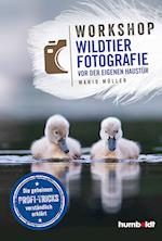 Workshop Wildtierfotografie vor der eigenen Haustür