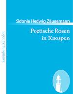 Poetische Rosen in Knospen