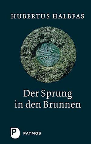 Der Sprung in den Brunnen