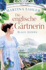 Die englische Gärtnerin – Blaue Astern