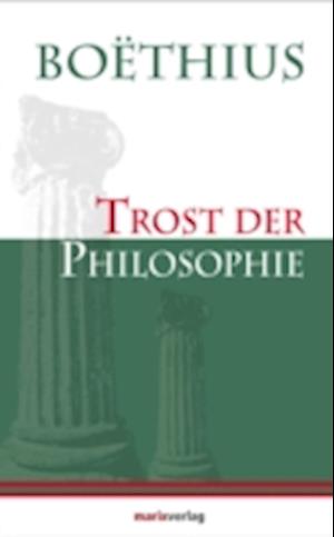 Trost der Philosophie