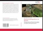 Electrorretinografía en la iguana