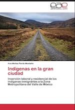 Indígenas en la gran ciudad