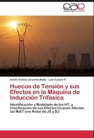 Huecos de Tensión y sus Efectos en la Máquina de Inducción Trifásica